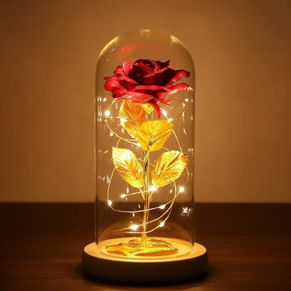 Flower Dome with LED Light