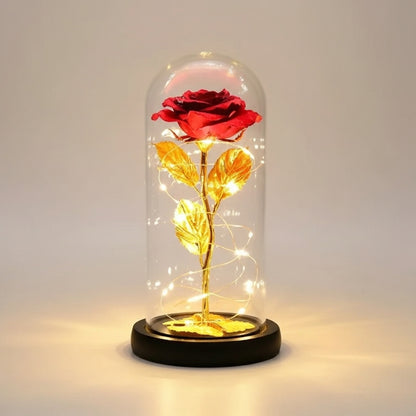 Flower Dome with LED Light