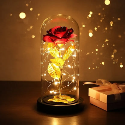 Flower Dome with LED Light